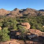 Oak-Flat-of-south-eastern-Arizona