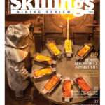 Skillings Mining Review February 2020