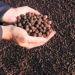 iron ore