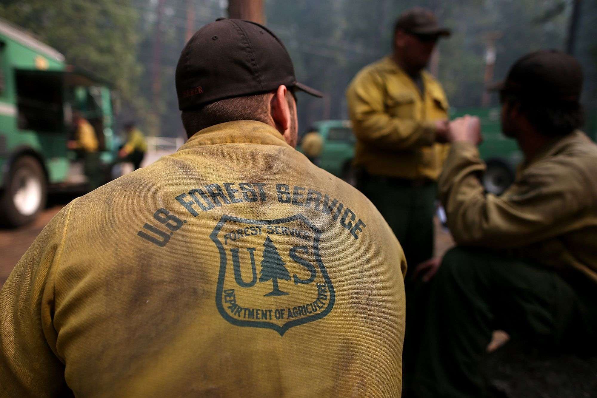 Forest-service