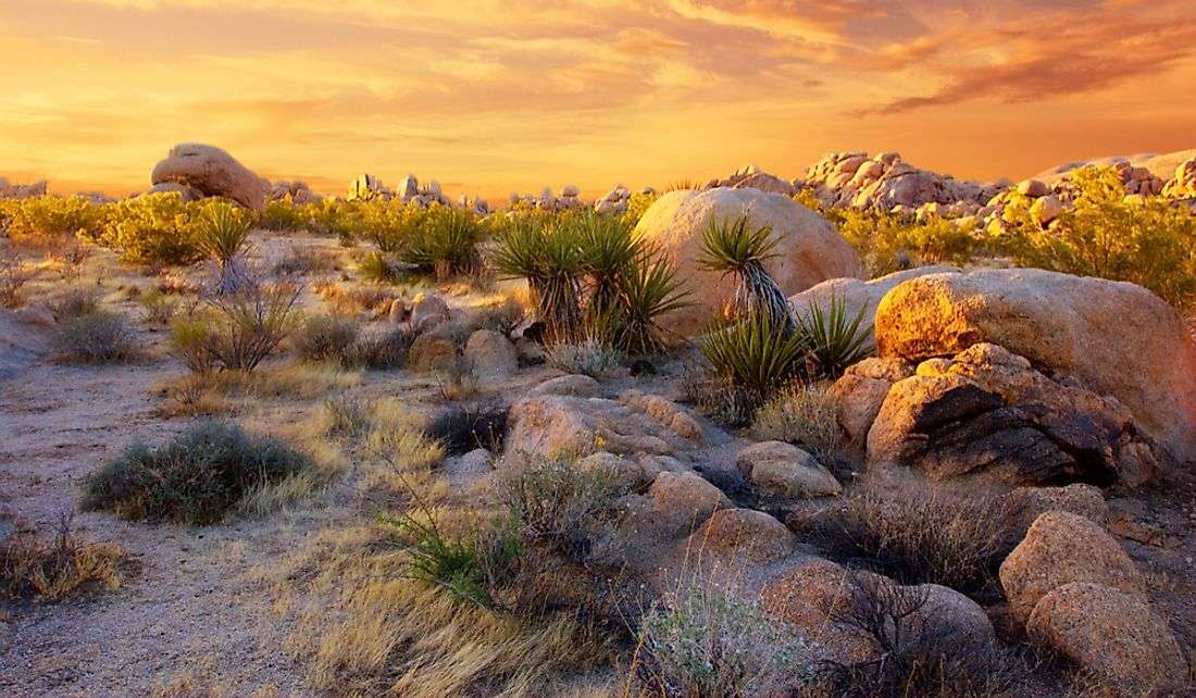 Mojave Desert