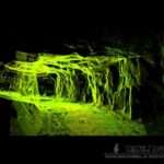 LiDAR