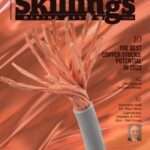 Skillings Mining Review February 2022
