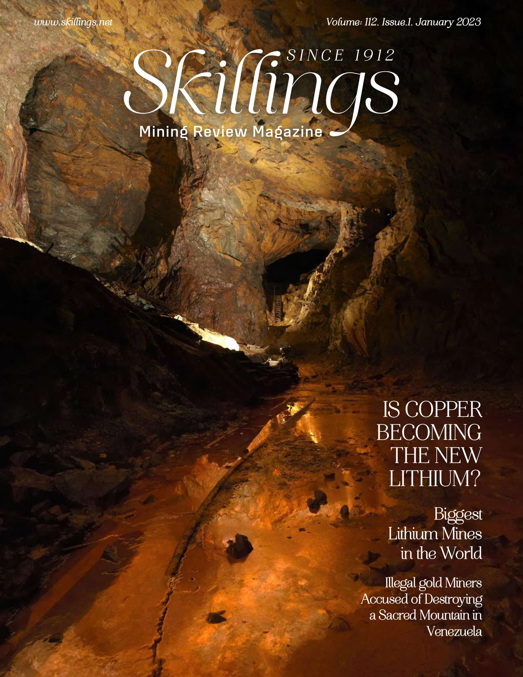 Skillings Mining Review January 2023