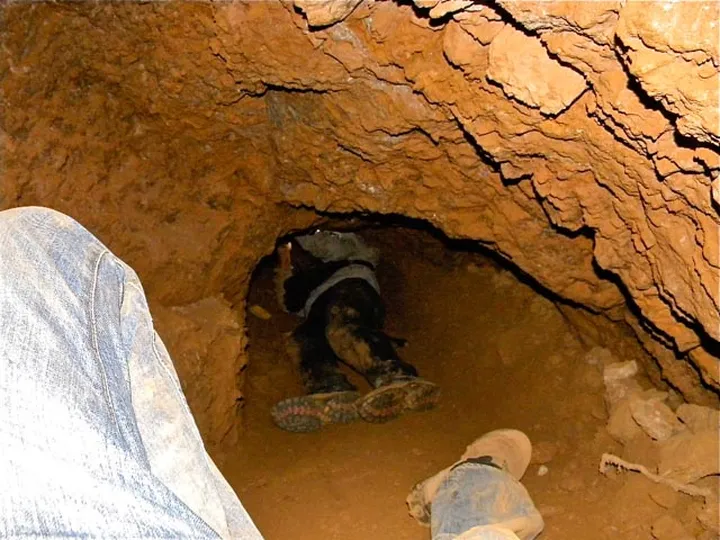 Artisanal Mining jobs