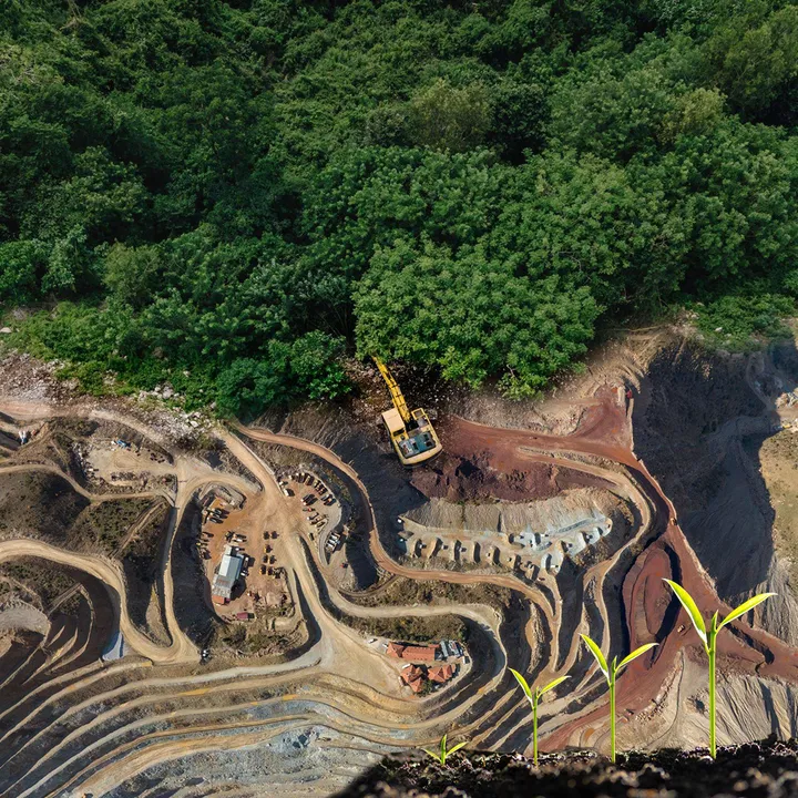 Mining and Agriculture