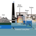 Coal-Fired Power Stations