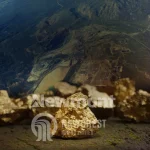 Biggest Gold Mining Company