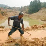 Rare Earth Minerals