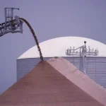 Conveyor dumping potash for producing Potash Fertiliser.