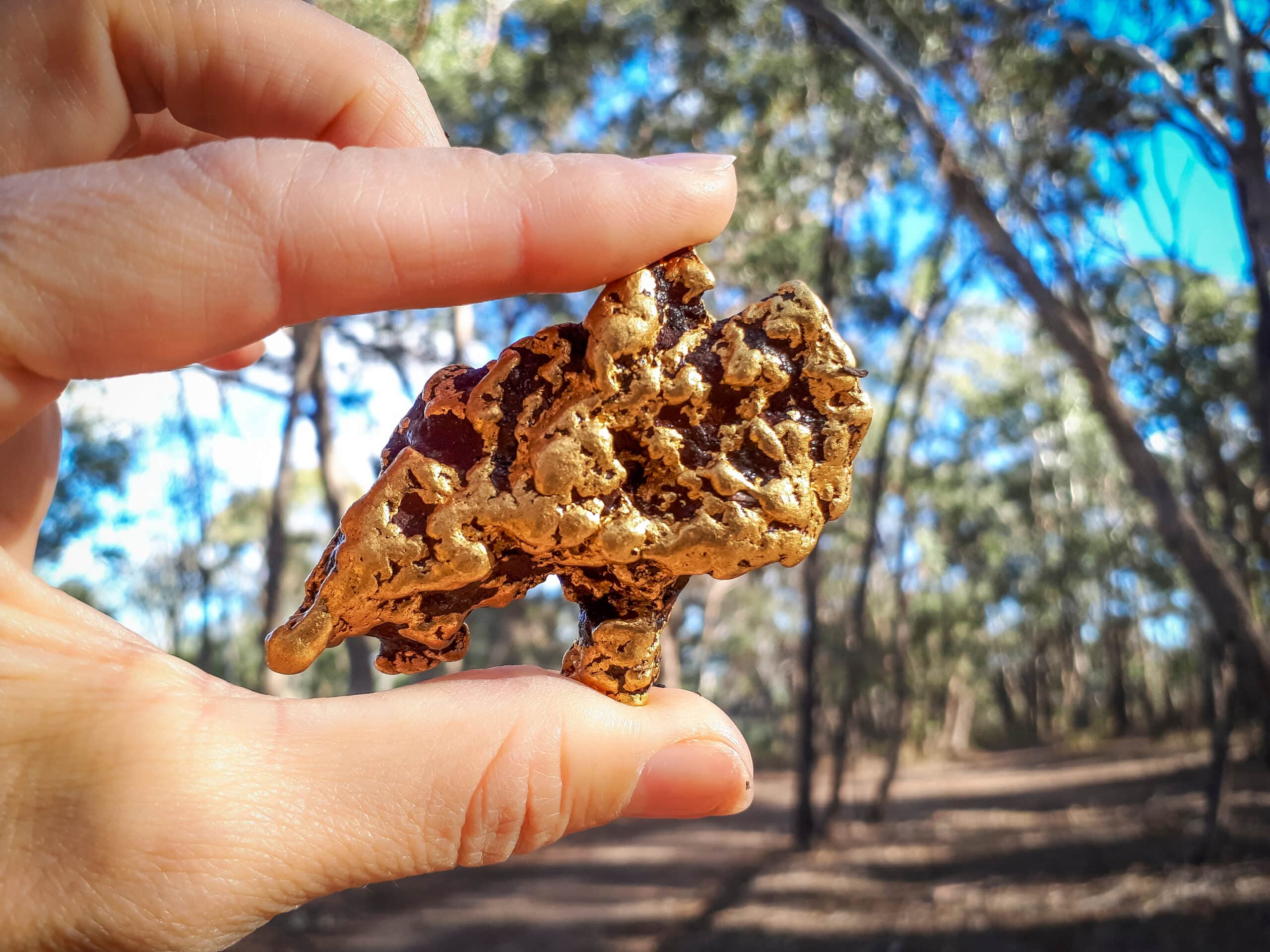 Drummond epithermal gold project