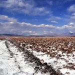 Rincon Lithium Plant
