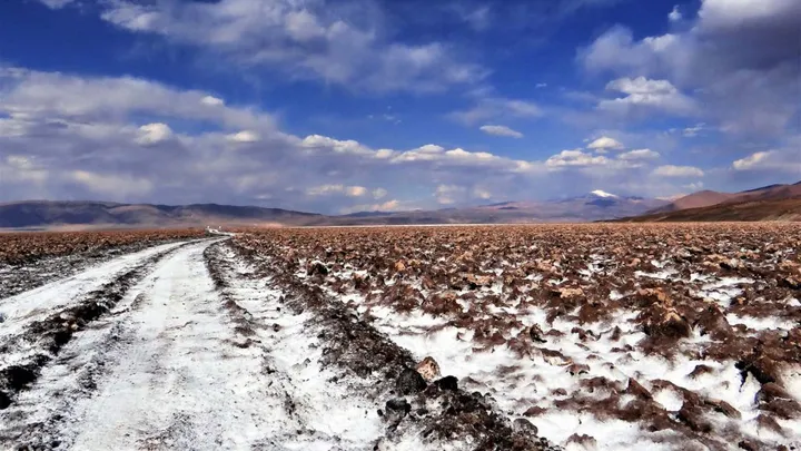 Rincon Lithium Plant