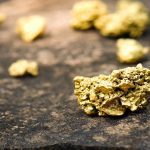 Savant Gold Project