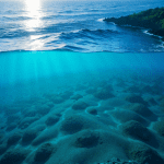 Deep-Sea Mining Ban