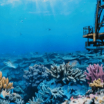 Deep-Sea Mining