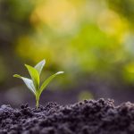 BHP helps conserve one of Canada’s natural wonders