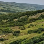 Graphite Creek Project