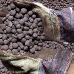 Zanaga Iron Ore weighs pelletising plant in RoC or Middle East
