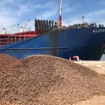 Bauxite Shipments