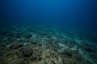 offshore mineral leasing