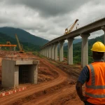 Simandou infrastructure risk