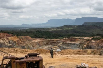 Venezuela mineral resources
