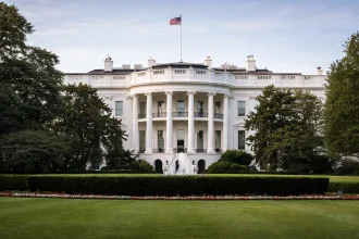 U.S. critical minerals strategy