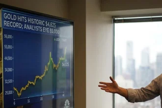 Gold price hits record high