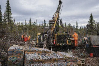 Maple Gold Mines