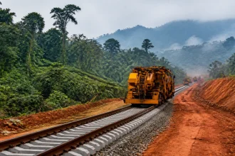 Simandou Iron Ore Project