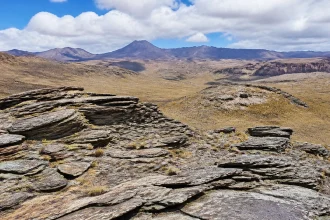 Lithium Price Forecast 2026