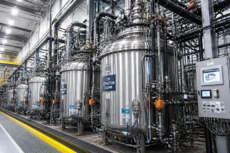 US critical minerals processing