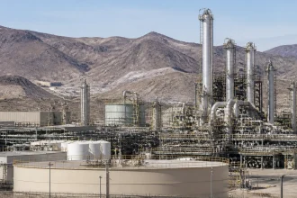 Rare earth vertical integration