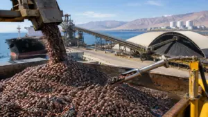 copper uranium market outlook 2026