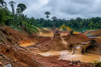 Gonini Gold Project Suriname